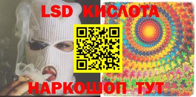 спиды Донской
