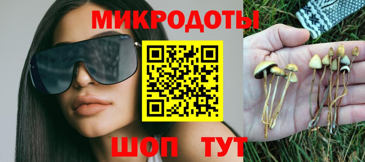 Псилоцибиновые грибы Psilocybe  Вход с VPN  Менделеевск  Галлюциногенные грибы мицелий 